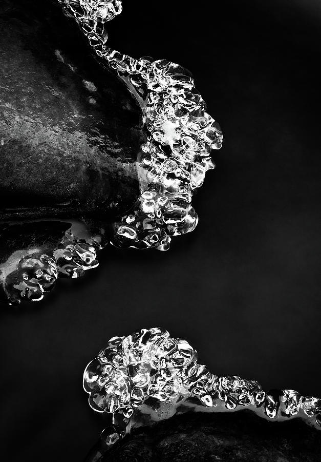Cold White Diamonds Photograph by Darren White