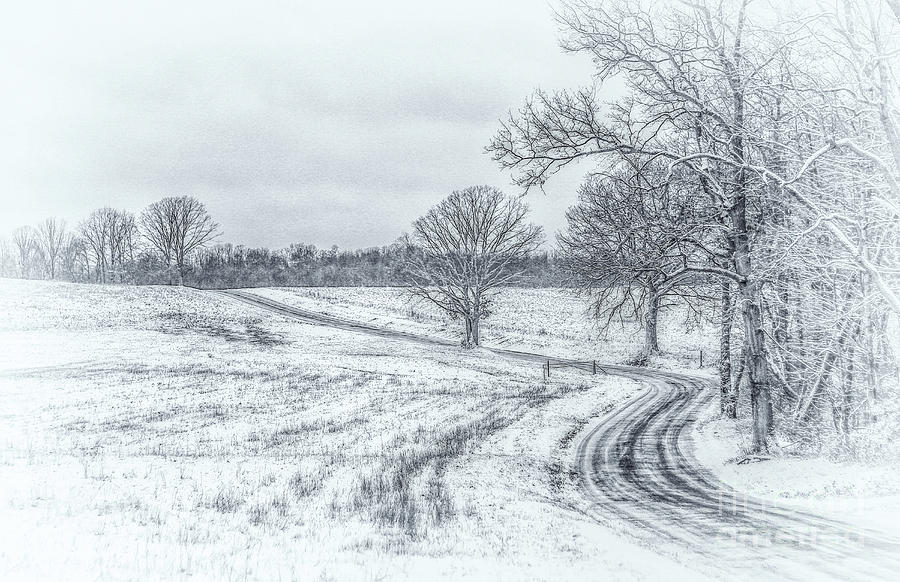 Cold Winter Morning Sketch Digital Art by Randy Steele