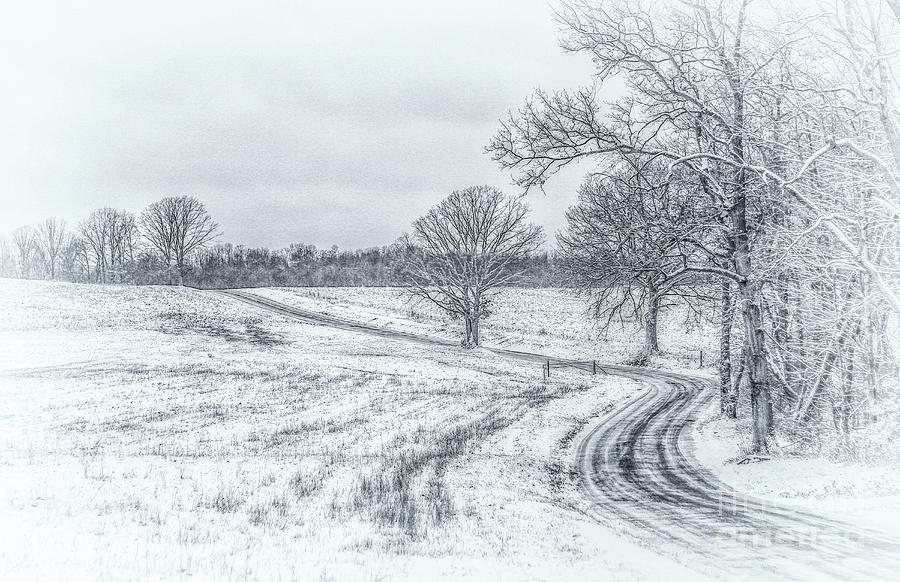 How to draw Winter Snowfall Scenery with pencil, Easy Pencil sketch -  YouTube