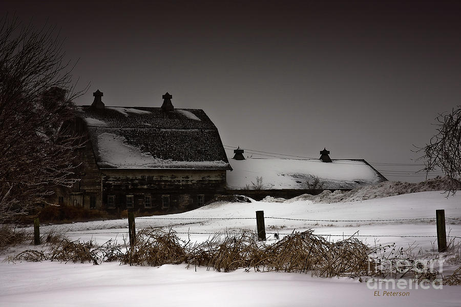 Cold Winter Night Photograph by Ed Peterson