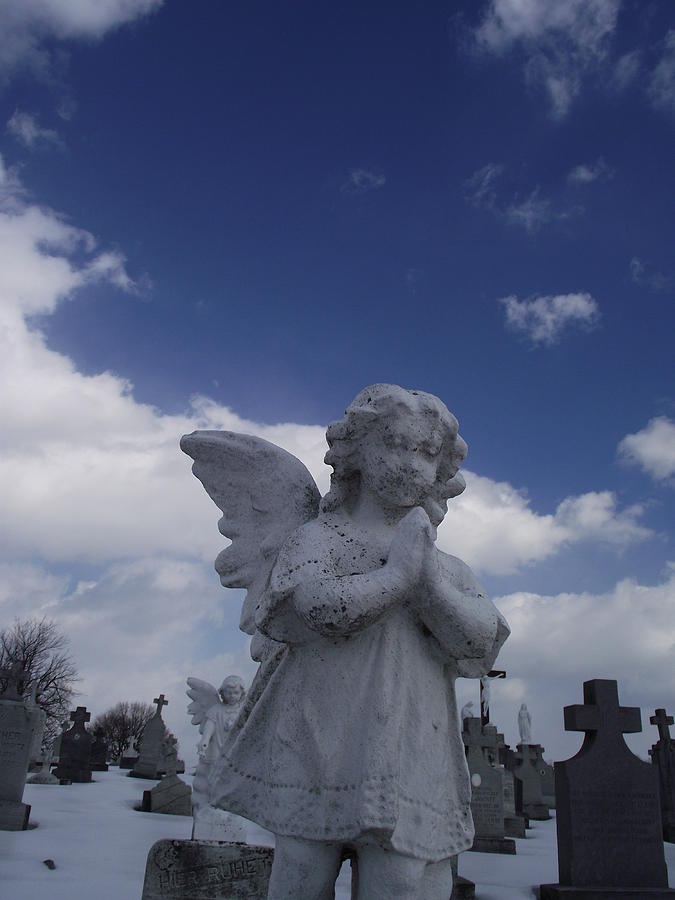 Cold Winters Day With An Angel By My Side Photograph by Jamie Mcatee