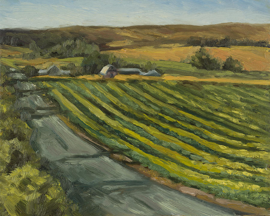 Cole Crop by Julie Rumsey Cole Crop by Julie Rumsey
