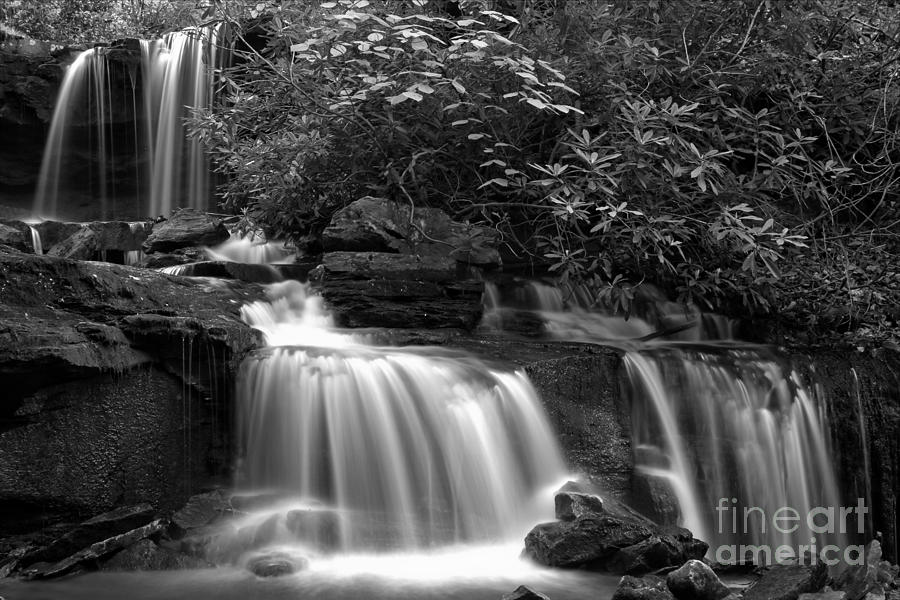 Cole Run Cascades Black And White Photograph by Adam Jewell