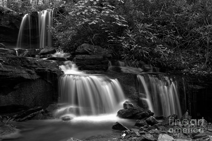 Cole Run Falls Black And White Photograph by Adam Jewell