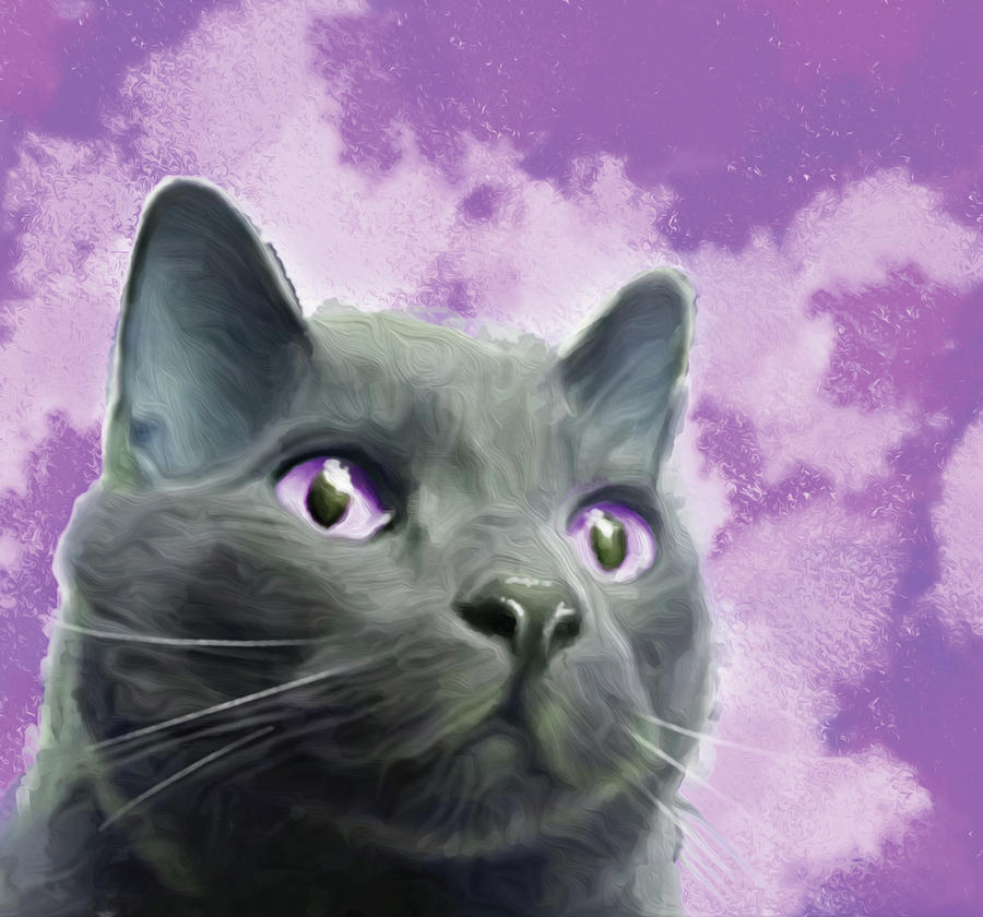 Cole the Cat Purple Digital Art by Heidi Haakenson - Fine Art America