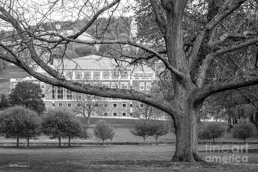 Colgate University Landscape Photograph by University Icons