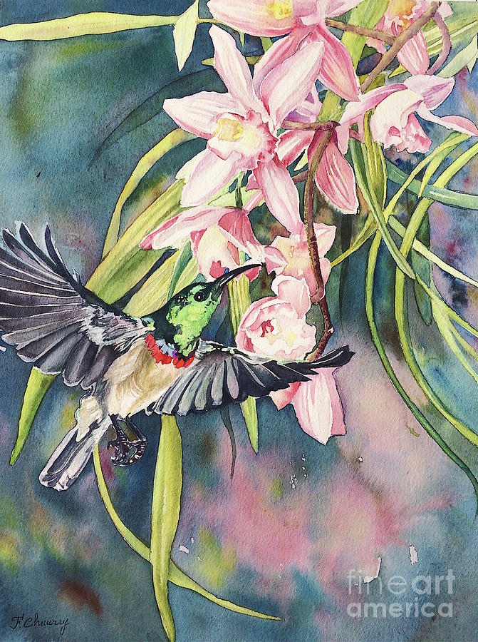 Hummingbird Painting - Colibri  by Francoise Chauray