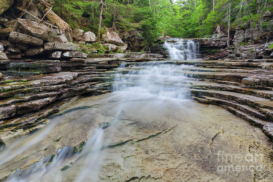 Nature Photograph - Coliseum Falls - Crawford Notch, New Hampshire by Erin Paul Donovan
