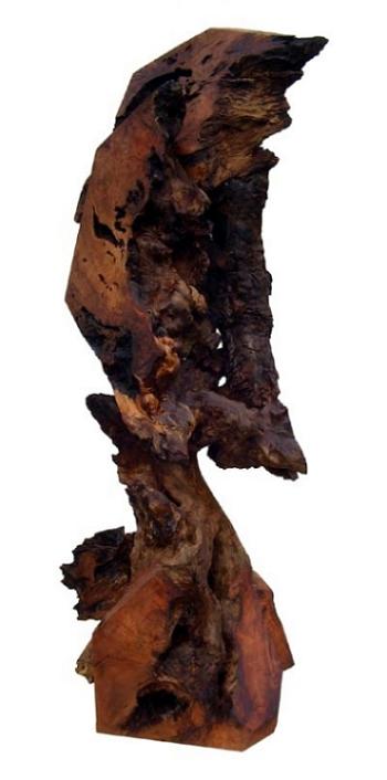 Driftwood Sculptures Sculpture - Collaborating Minds by Daryl Stokes Driftwood Sculptures Sculpture - Collaborating Minds by Daryl Stokes