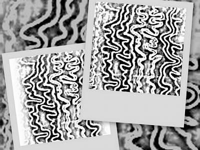 Rasta Digital Art - Collage Bw Three Panels by Darnillious Designs Rasta Digital Art - Collage Bw Three Panels by Darnillious Designs
