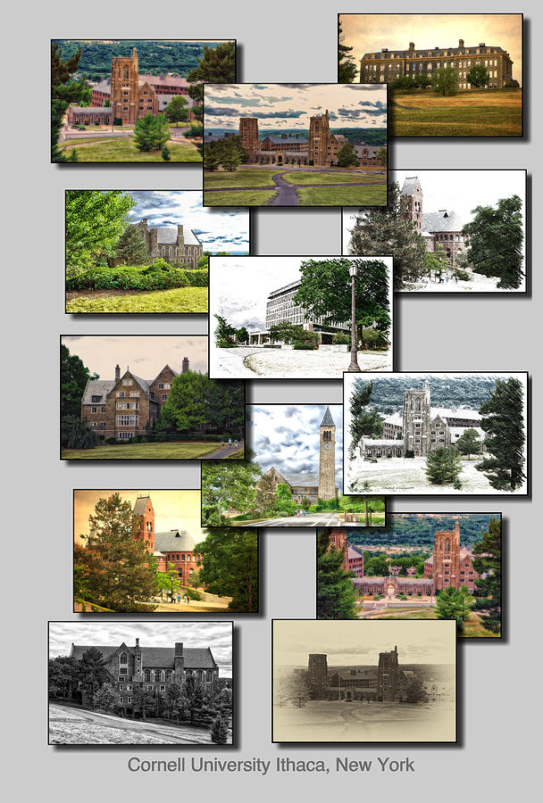 Collage Cornell University Ithaca New York Vertical 01 Photograph by Thomas Woolworth