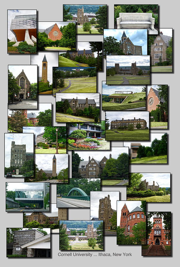 Collage Cornell University Ithaca New York Vertical 02 Photograph by Thomas Woolworth