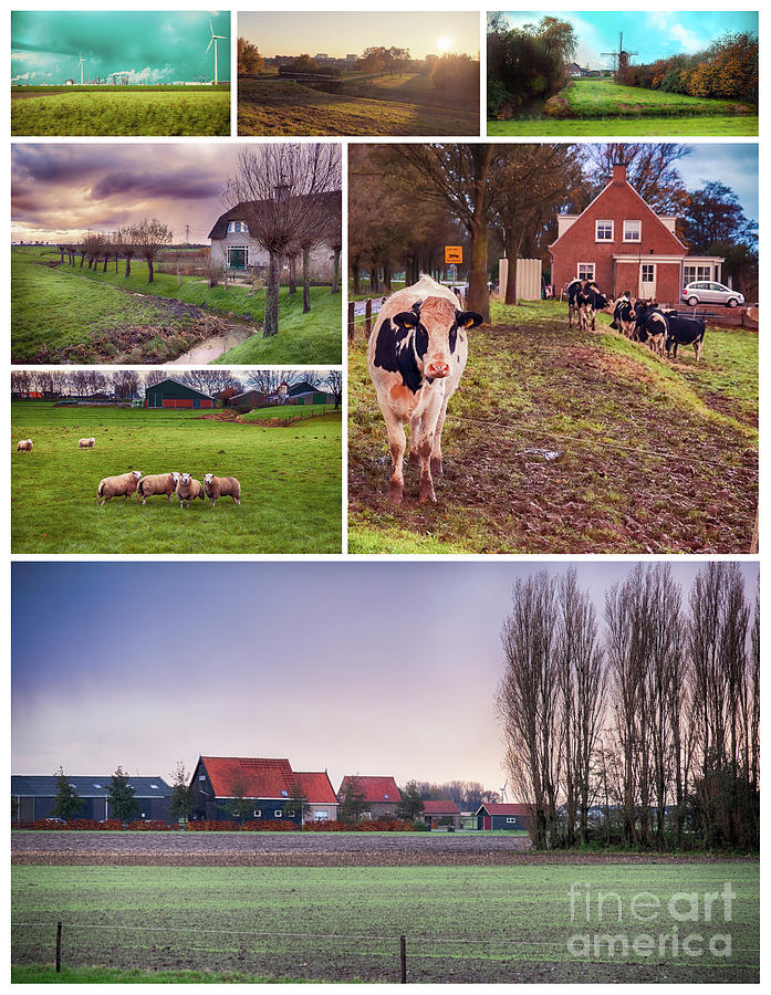 collage of autumn landscape of Netherlands Photograph by Ariadna De Raadt