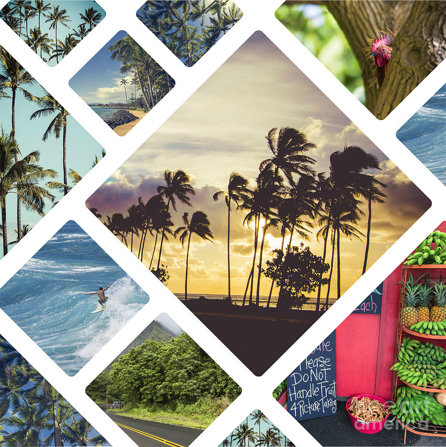 Honolulu Photograph - Collage of Hawaii  by Mariusz Prusaczyk
