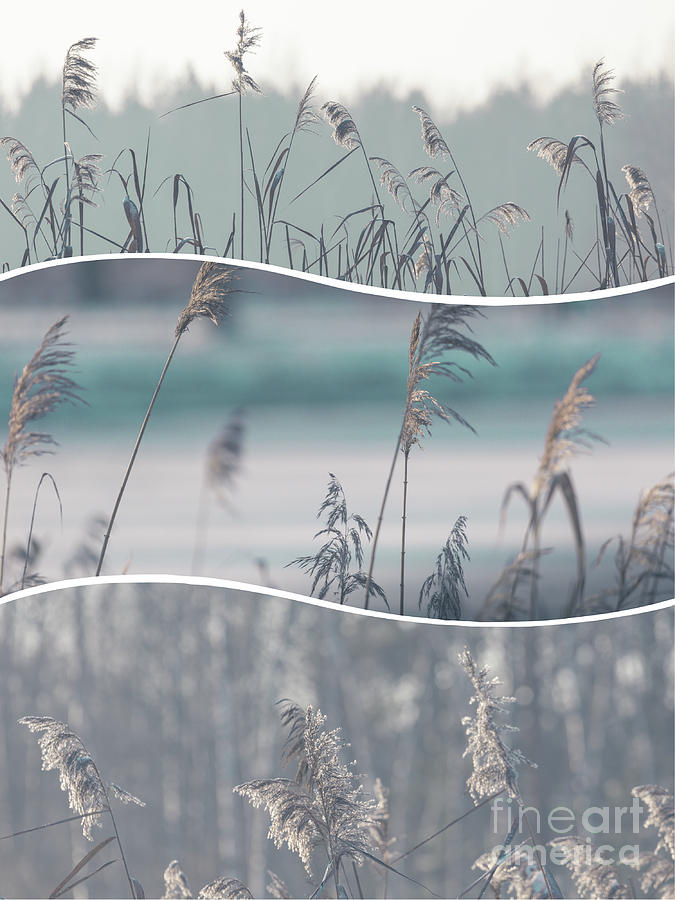 Winter Photograph - Collage of winter time in Poland. by Mariusz Prusaczyk