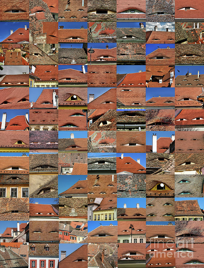 Collage Roof and Windows - The City s Eyes Photograph by Daliana Pacuraru