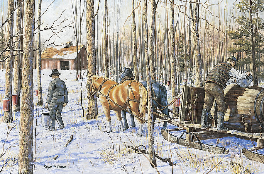 Collecting Maple Syrup Painting by Roger Witmer