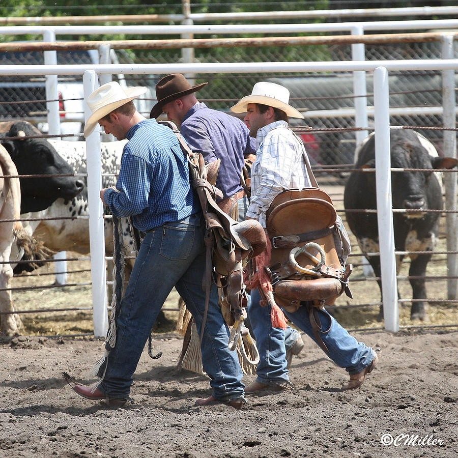 Collecting Their Gear... Photograph by Carol Miller | Fine Art America