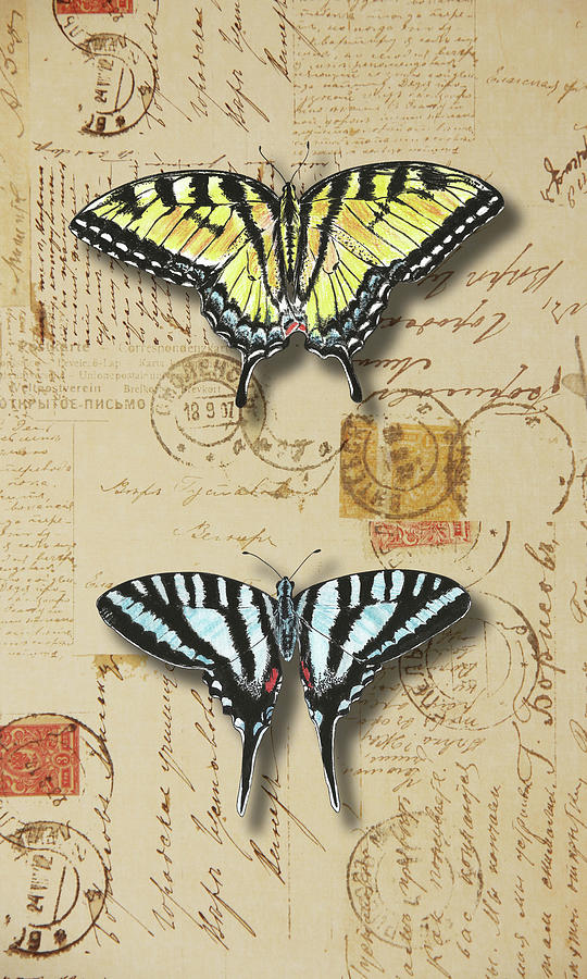 Collection of Butterflies Mixed Media by Masha Batkova