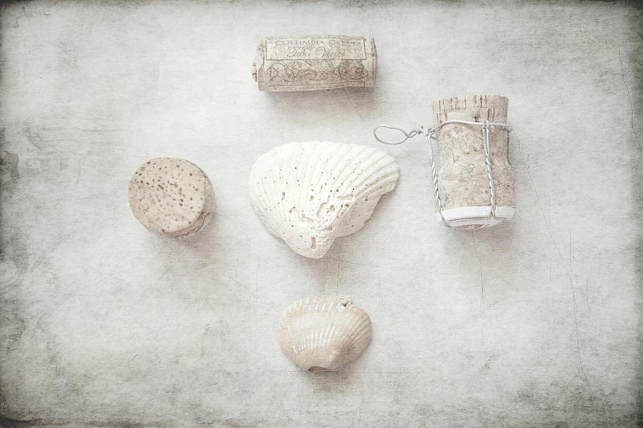 Collections Seashells and Wine Corks Photograph by Toni Hopper