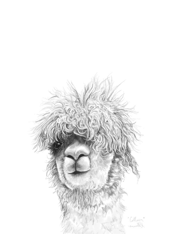 Llama Drawing - Colleen by Kristin Llamas