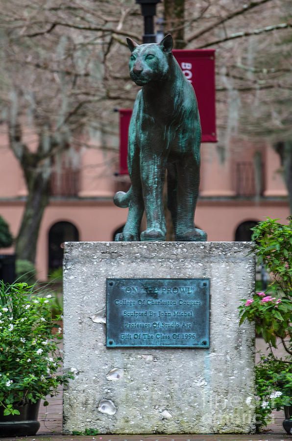 College Of Charleston Mascot Photograph
