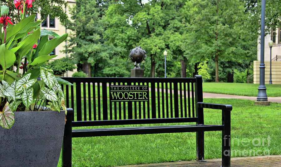 College Of Wooster Bench  4088 Photograph