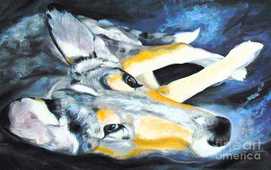 Collie Merle Smooth Painting by Susan A Becker