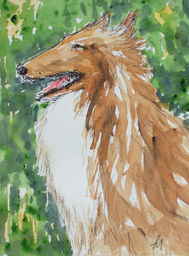Dog Painting - Collie by Pete Maier