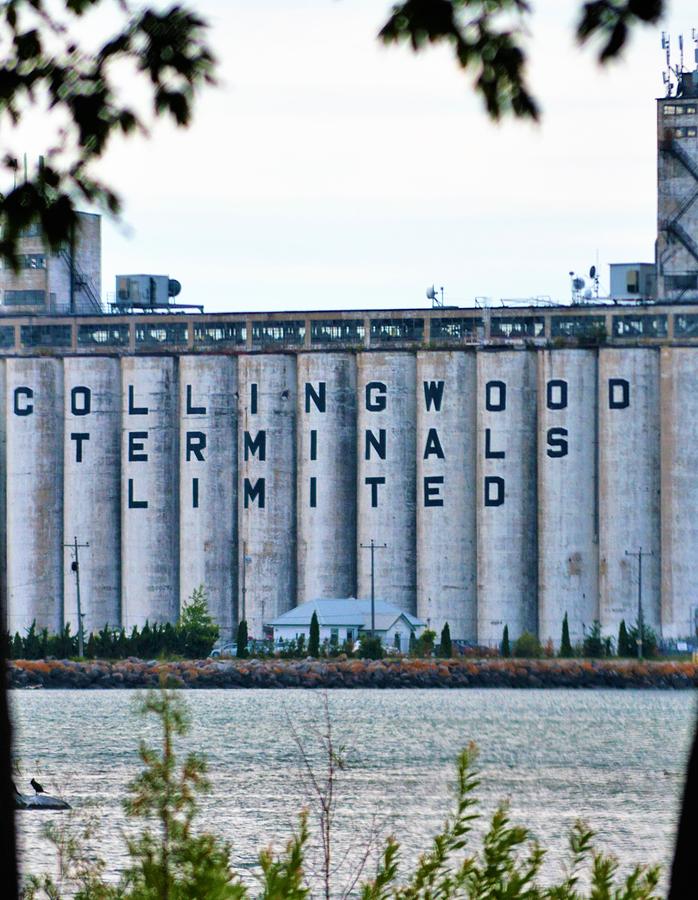 Collingwood Terminals Unlimited Photograph by Tamara Michael