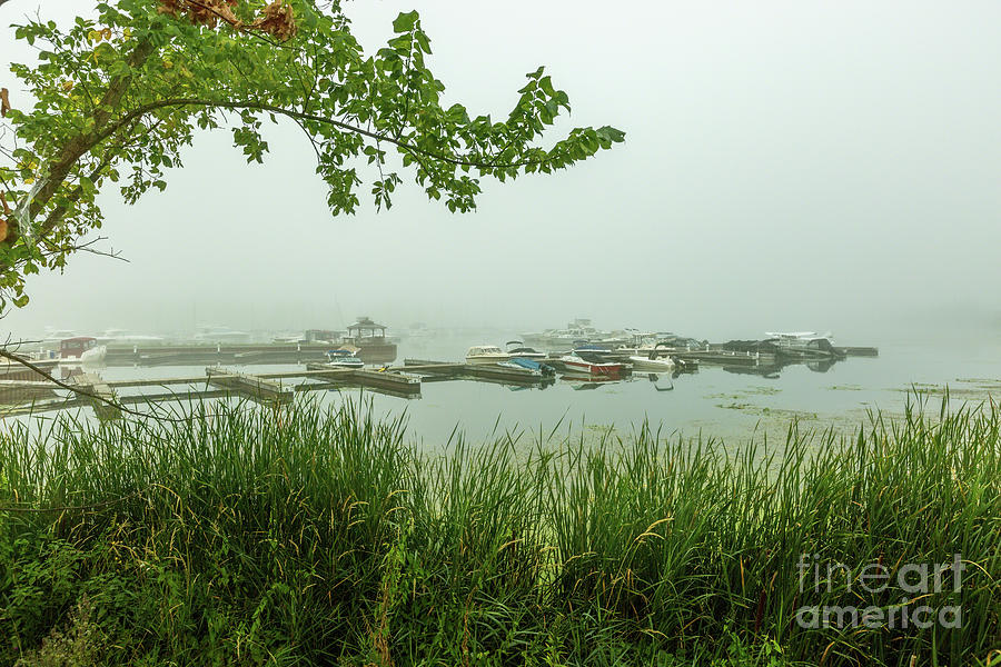 Collins Bay Fog Photograph by Roger Monahan