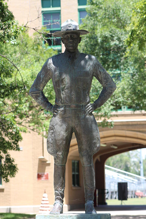 Colonel Harwood Perry Saunders Jr Statue Photograph by Colleen Cornelius