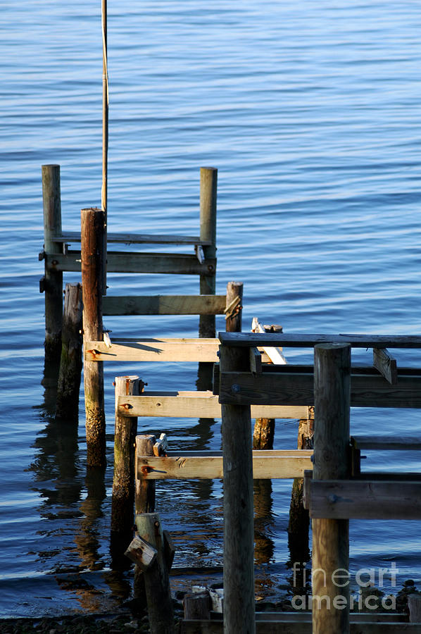 Colonial Beach Pilings Photograph by Clayton Bruster