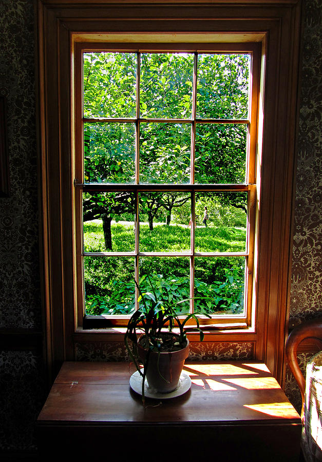 colonial window panes