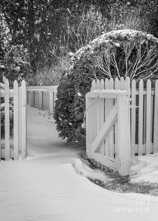 Colonial Gate in Winter Black and White Photograph by Karen Jorstad