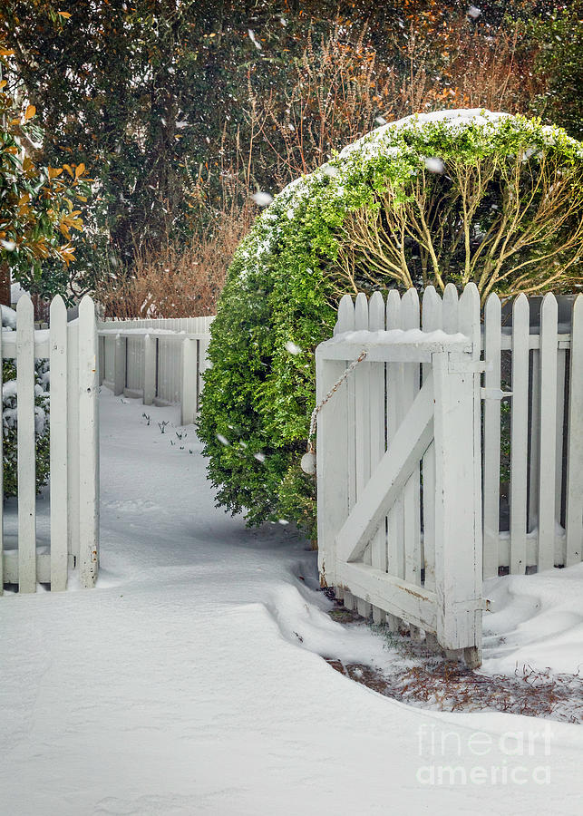 Colonial Gate in Winter  Photograph by Karen Jorstad