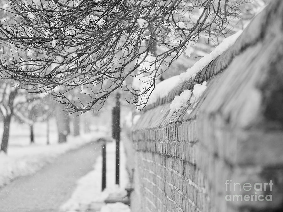 Colonial Winter Wall Photograph by Rachel Morrison
