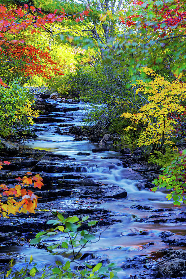 Maine Photograph - Color Alley by Chad Dutson Maine Photograph - Color Alley by Chad Dutson