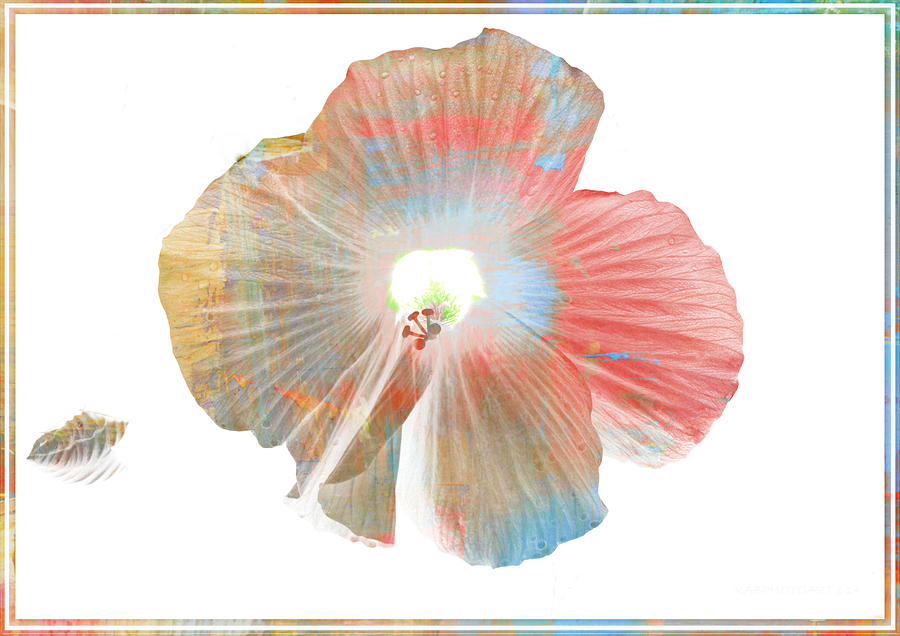 Color Art Hibiscus Photograph by Kathy Barney