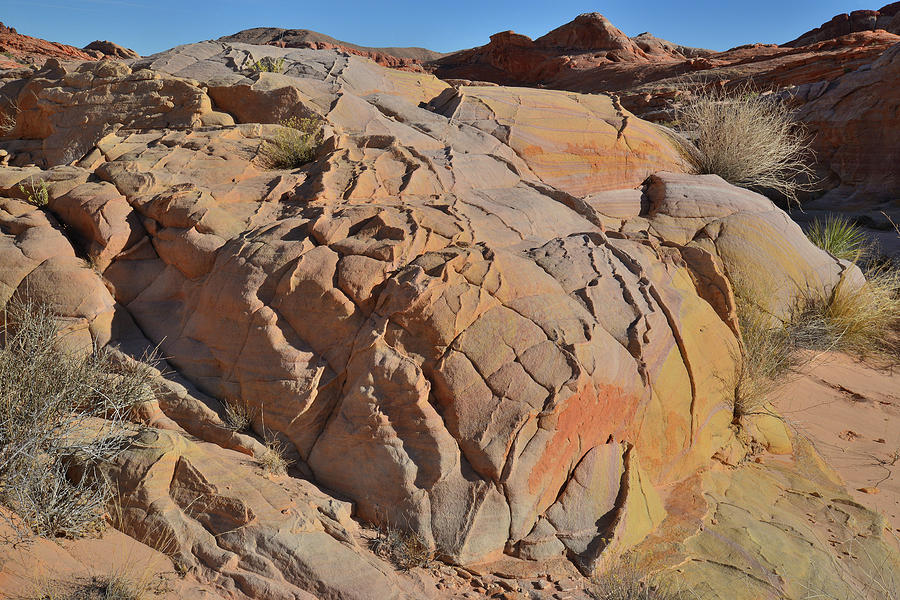 Color at the Entrance to Wash 3 in Valley of Fire Photograph by Ray Mathis