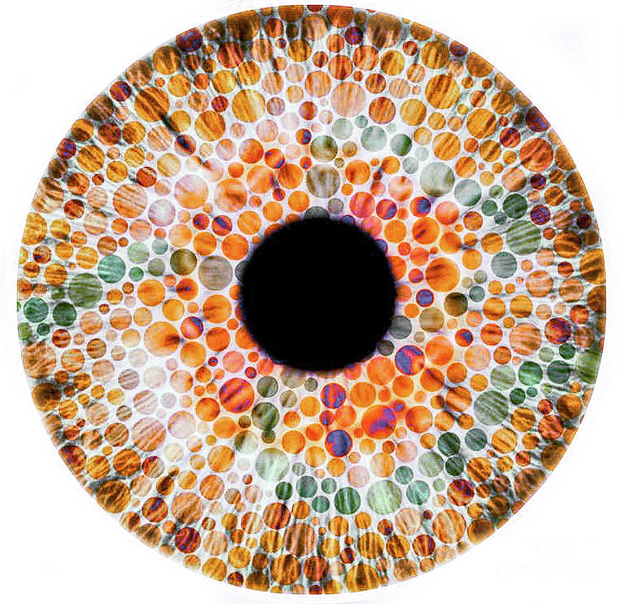 Color blindness, conceptual image chart Photograph by Doc Braham