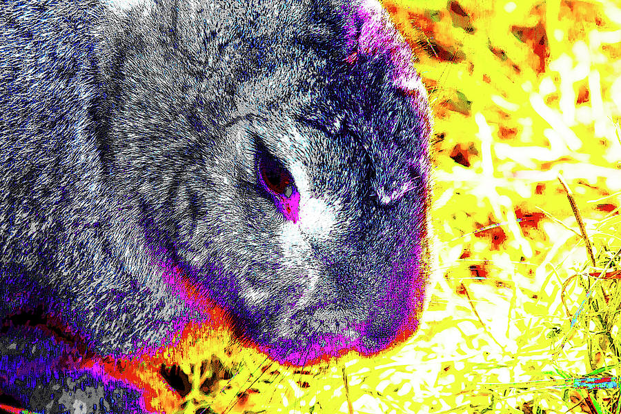 Color Bunny Abstract Digital Art by David Stasiak