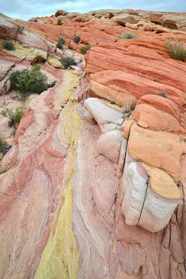 Color Canyon in Valley of Fire Photograph by Ray Mathis