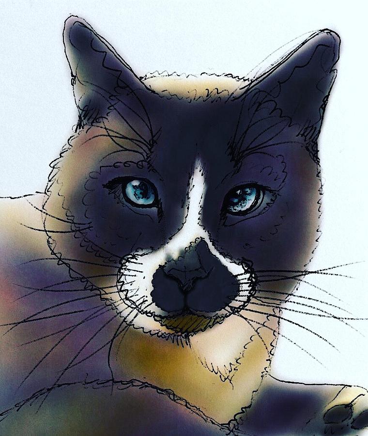 Color Cat Drawing