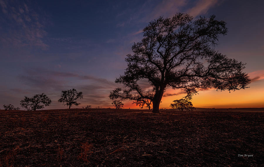 Paso Robles Photograph - Color Change at First Light by Tim Bryan