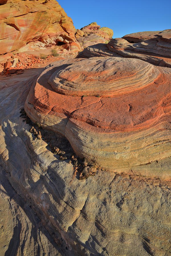 Color Circles in Valley of Fire Photograph by Ray Mathis