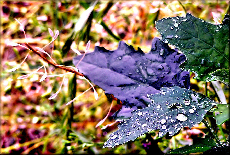 Spring Photograph - Color Drippings by Karen Scovill