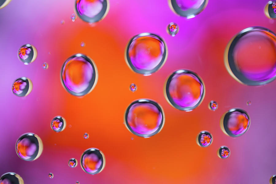 Color Drops 2 Photograph by Brian Hale