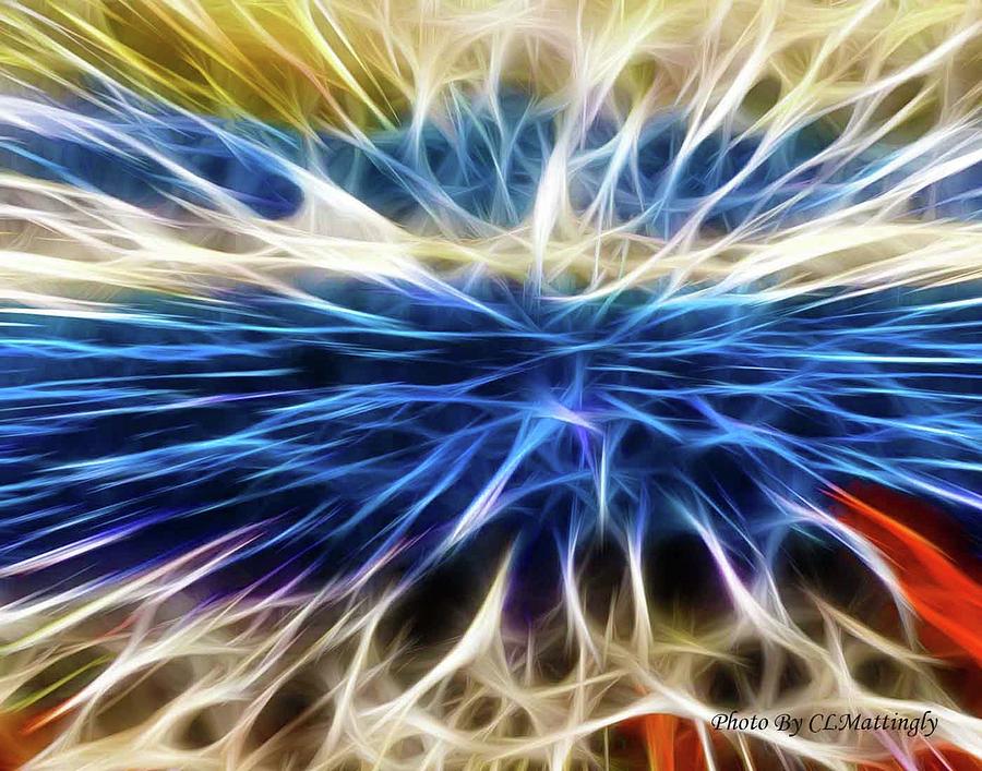 Color Explosion Photograph by Coke Mattingly