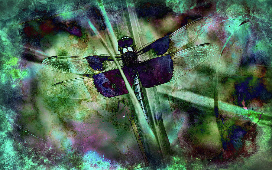 Color Fly Digital Art by Greg Sharpe